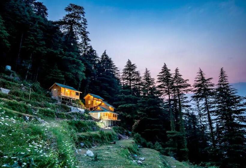 1 베드룸 수피리어 스위트, Mid Conifer Cottage