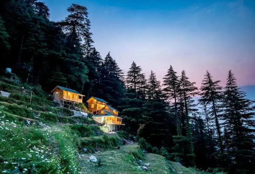 シャレー・スペリアー1寝室, Mid Conifer Cottage