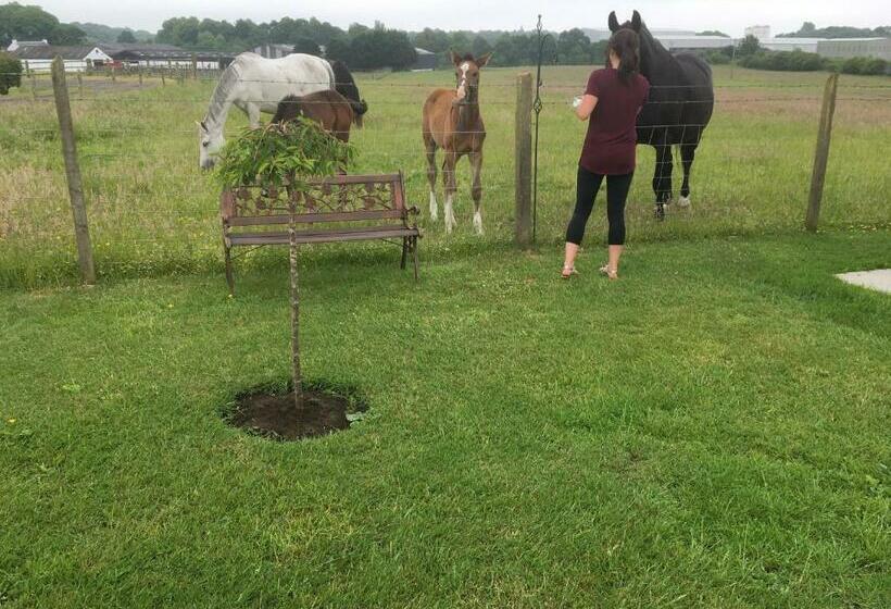 스탠다드 룸 가든 전망, Auchenlea Bed And Breakfast