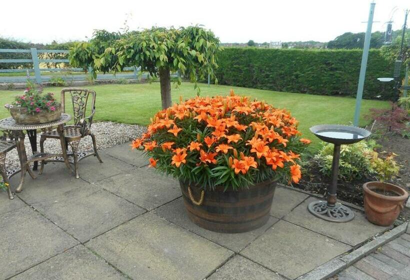 스탠다드 룸, Auchenlea Bed And Breakfast