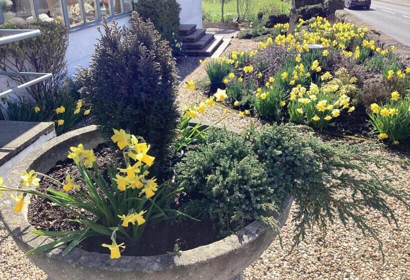 스탠다드 룸 가든 전망, Auchenlea Bed And Breakfast