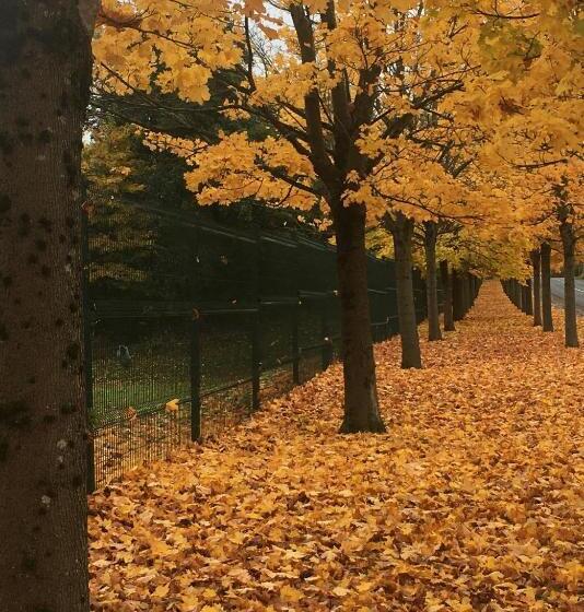 스탠다드 룸 가든 전망, Auchenlea Bed And Breakfast