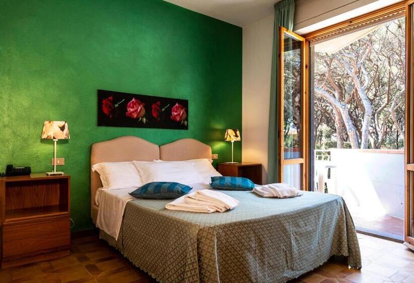 テラス付スーペリアルーム, Parco Dei Pini