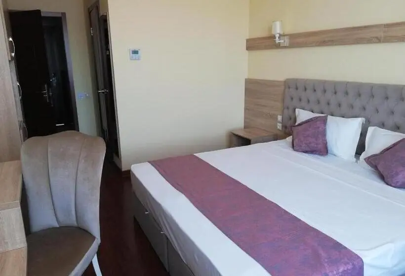 اتاق اکونومی, Park Hotel Al Bustan