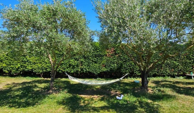 Апартаменты 1 Спальня с Видом, Villa Monplaisir Zen