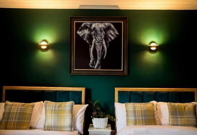 غرفة قياسية رباعية, Lomond Park