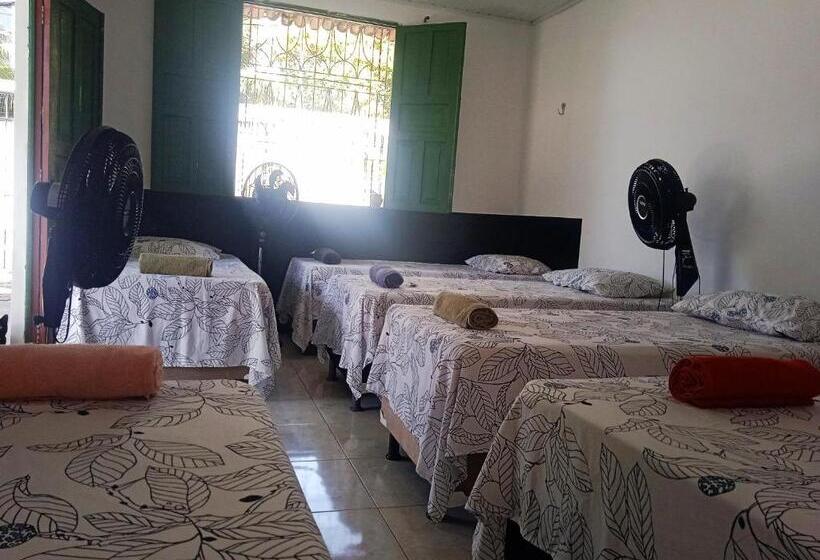 سرير فى غرفة مشتركه, Hostel Mineiros