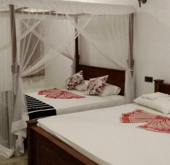 패밀리 스위트, Indigo