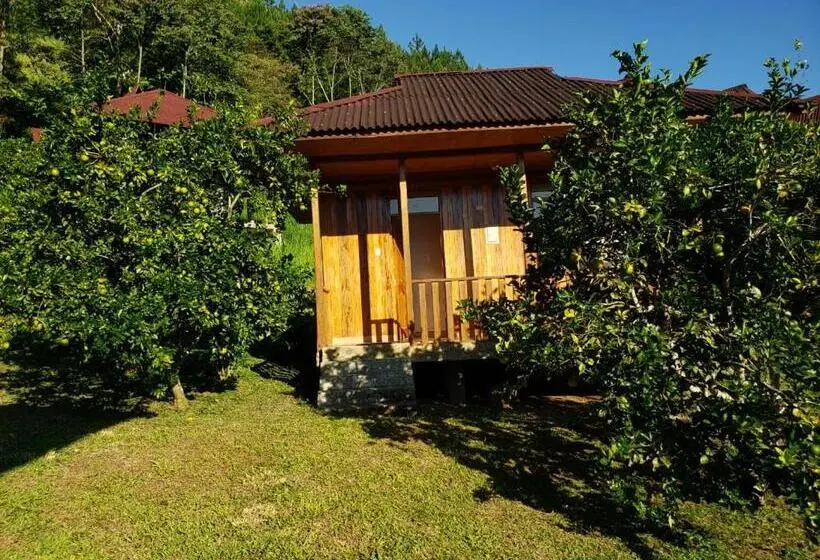 スタンダードバンガロー, Mercedes Lodge