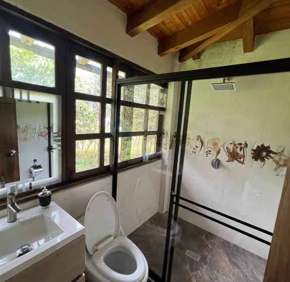 标准间, Osadia Ventura