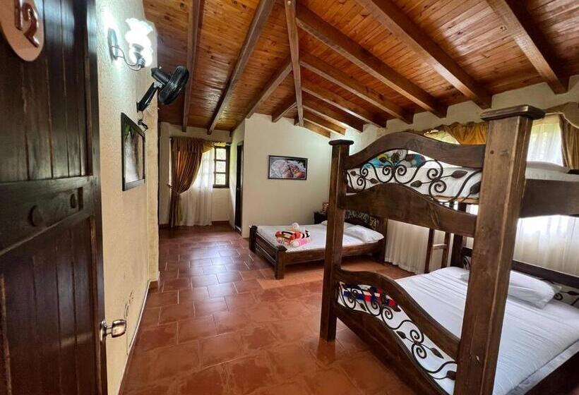 标准间, Osadia Ventura