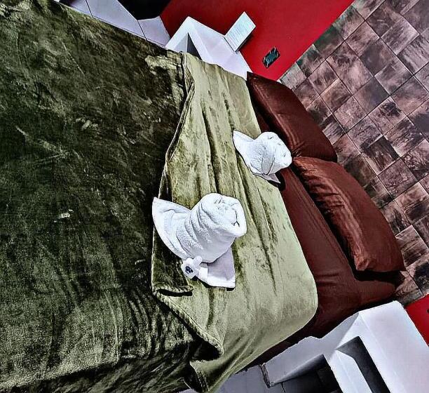 スタンダードシングルルーム, Hostal Vittoria