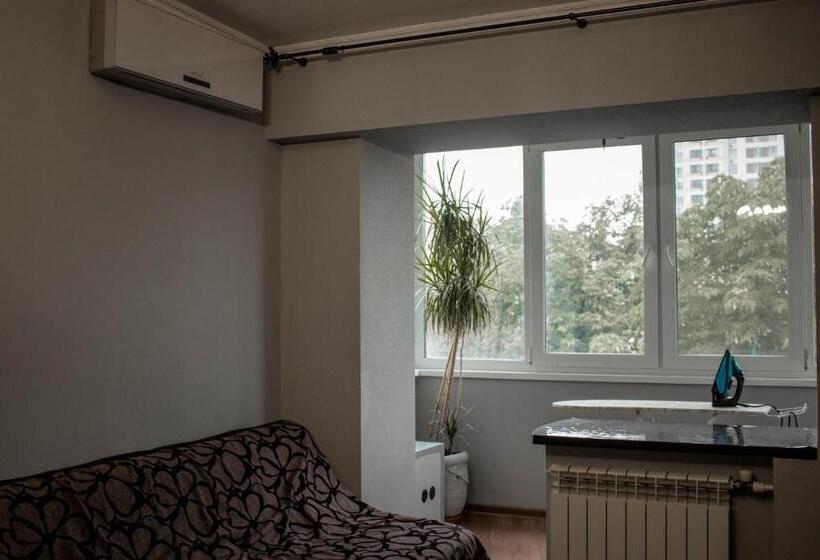 شقة غرفتين, Seven