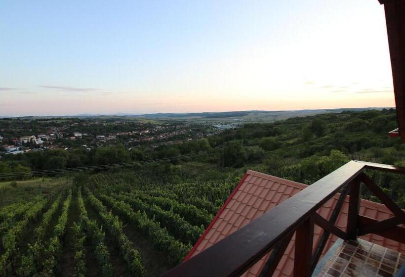 带城市景观的标准间, Panorama Cehu Silvaniei