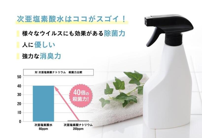 Номер Economy, The Graf Matsubara