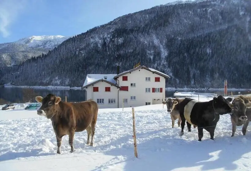 Standard 3 Pers. Værelse, Seeblick