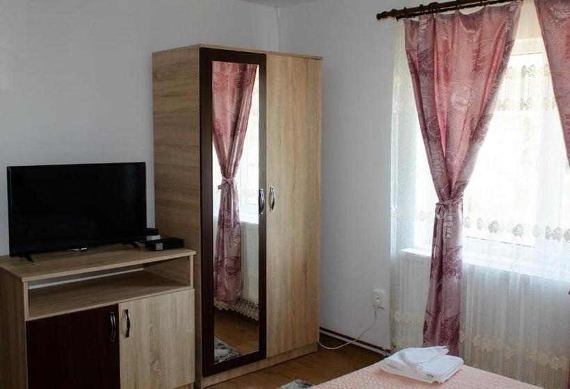 バス共有のスタンダードルーム, Pensiunea Aly