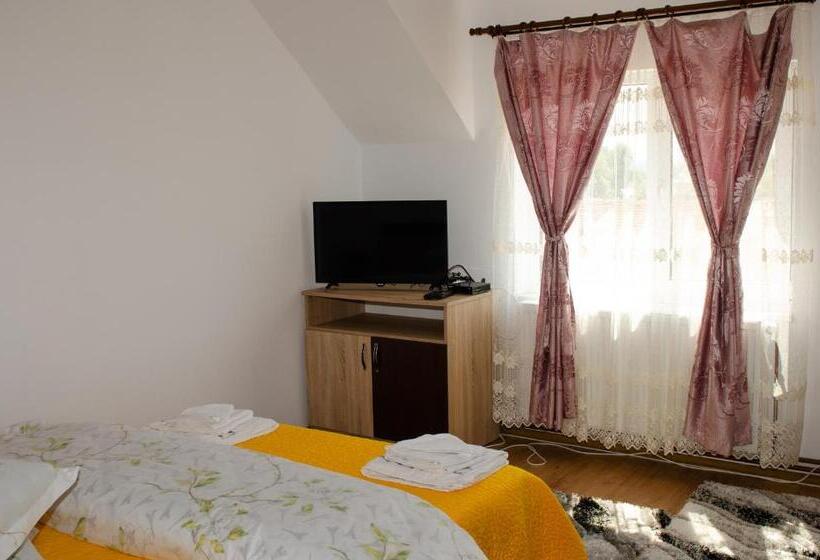 バス共有のスタンダードルーム, Pensiunea Aly