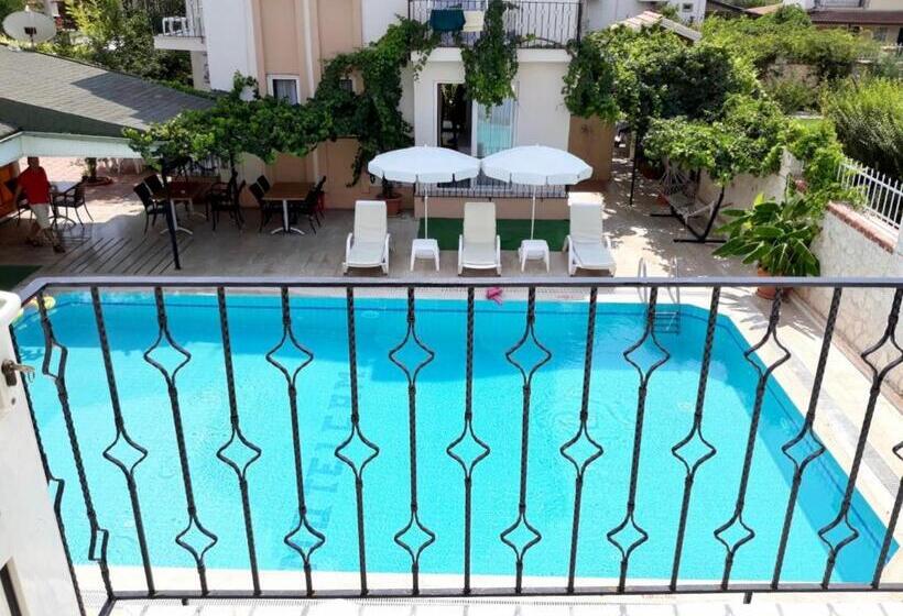 غرفة قياسية مطلّة علي حمام السباحة, Cam