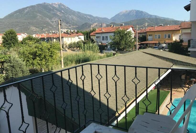 غرفة قياسية ثلاثية, Cam