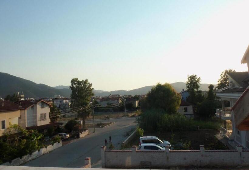 غرفة عائلية, Cam