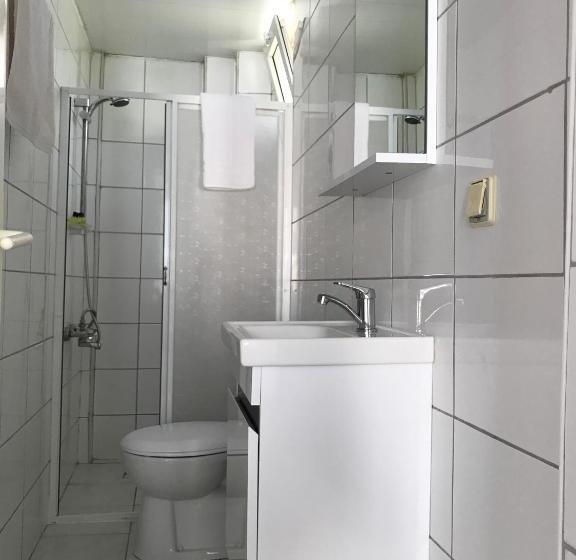 غرفة قياسية, Cam