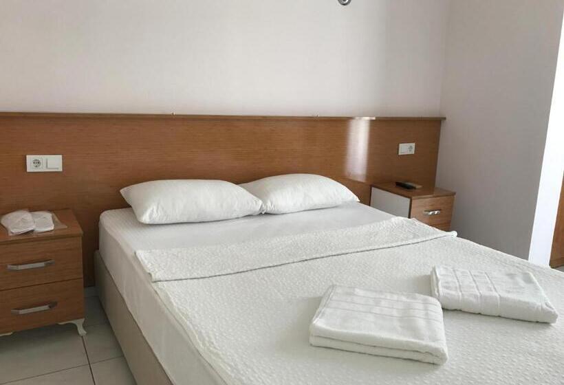 غرفة قياسية, Cam