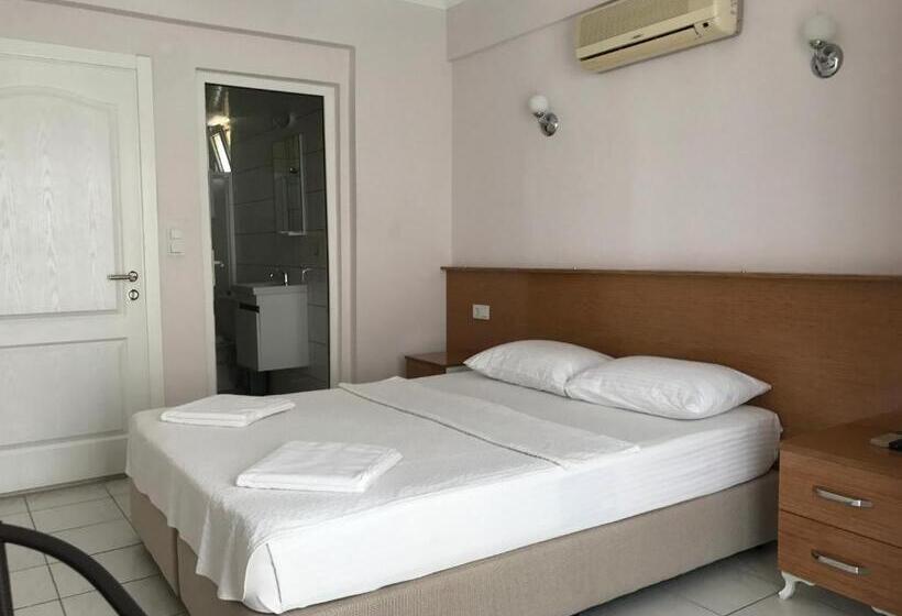 غرفة قياسية, Cam