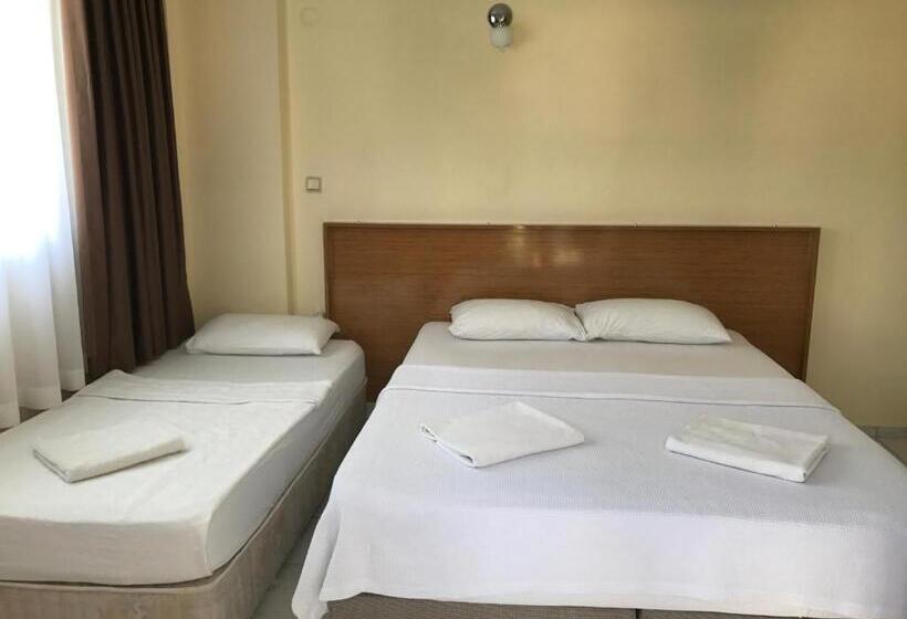 غرفة قياسية ثلاثية, Cam