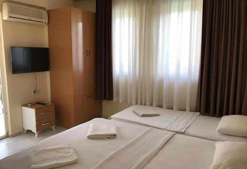 غرفة قياسية ثلاثية, Cam