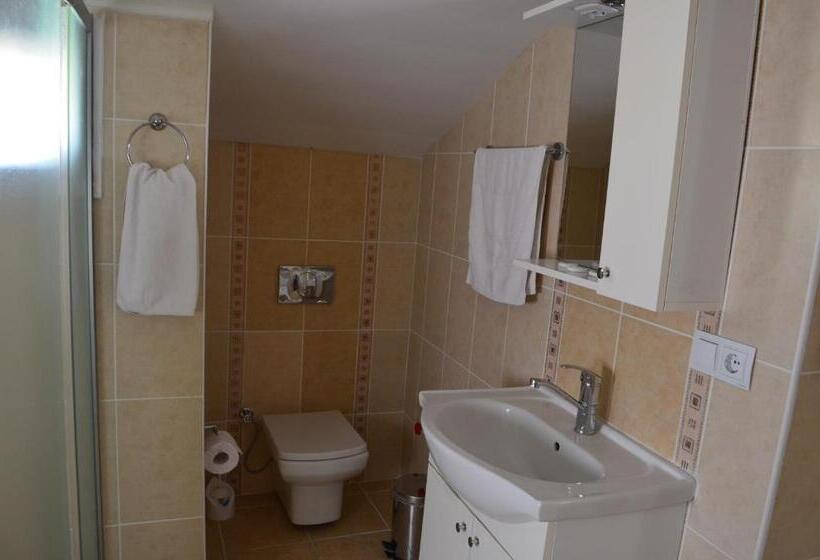 غرفة عائلية, Cam