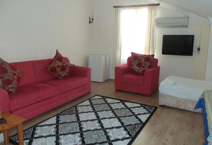 غرفة عائلية, Cam