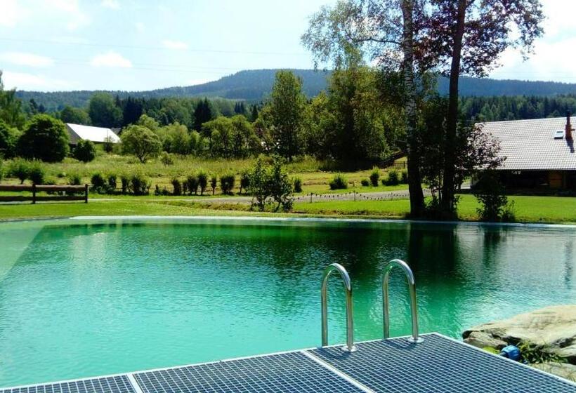 四人标准间, Penzion A Apartmány Skipark Hraběšice