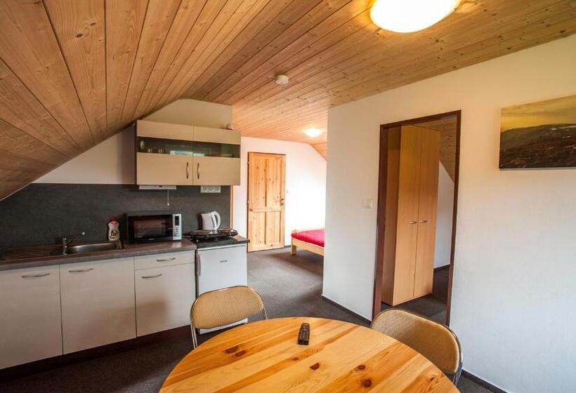 带大床的套房, Penzion A Apartmány Skipark Hraběšice