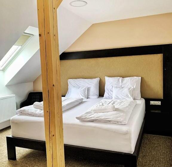 스탠다드 룸 킹사이즈 침대, Penzion U Broucka