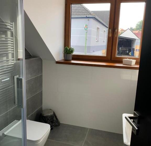 스탠다드 룸 킹사이즈 침대, Penzion U Broucka