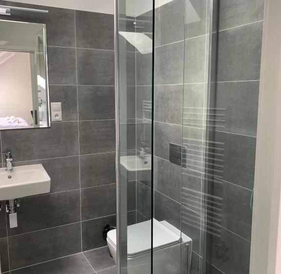 스탠다드 룸, Penzion U Broucka