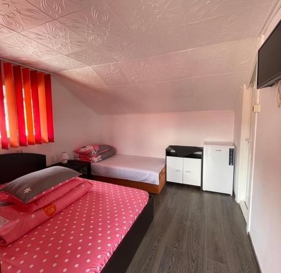 Номер Стандарт Трехместный, Pensiunea Maria