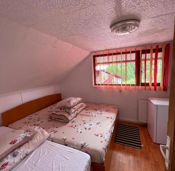 Номер Стандарт, Pensiunea Maria