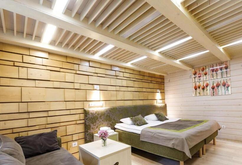 1间卧室的房子, Voevodyno Resort