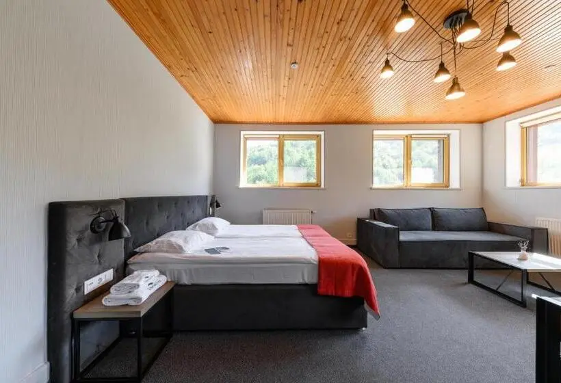 デラックスルーム, Voevodyno Resort