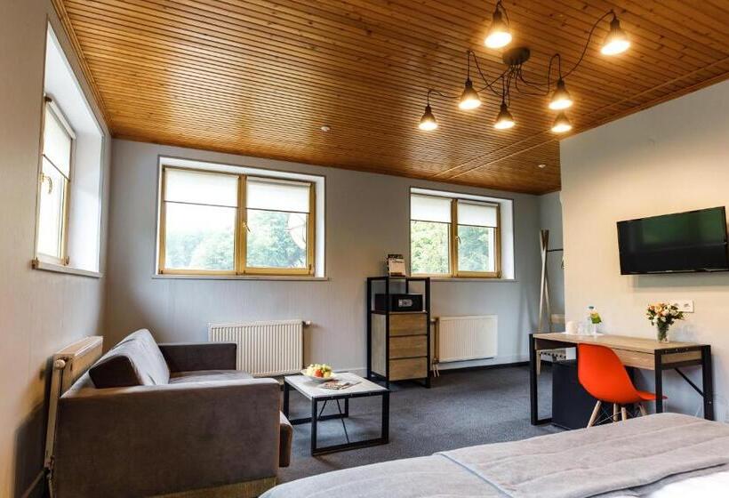 豪华房间, Voevodyno Resort