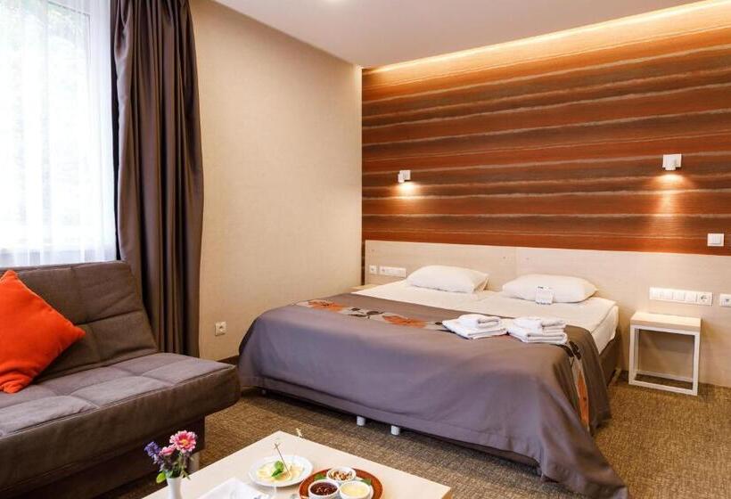 豪华房间, Voevodyno Resort