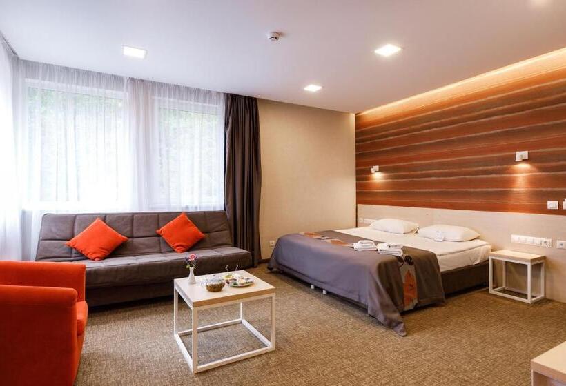 豪华房间, Voevodyno Resort