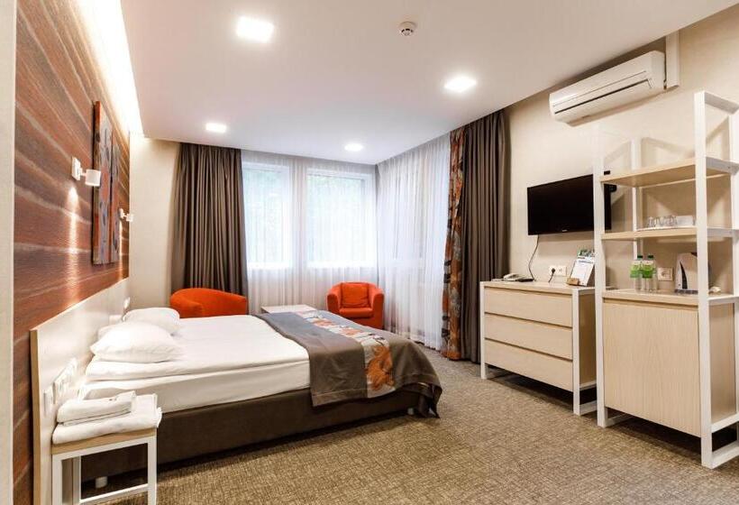 高级大房间, Voevodyno Resort