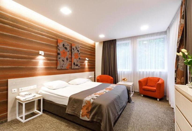 高级大房间, Voevodyno Resort