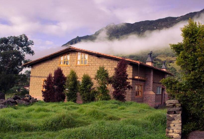 اتاق راحتی سه تخته, Hacienda Turistica Intihuatana