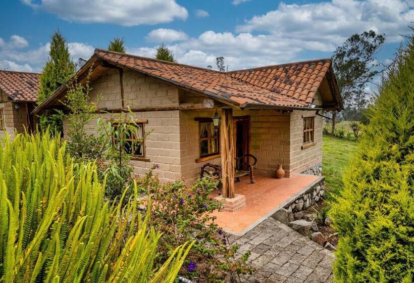 اتاق سوپریور خانوادگی, Hacienda Turistica Intihuatana