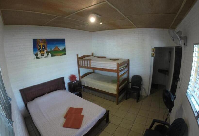 Четырехместный Номер Стандарт, Bananoz Surfhouse