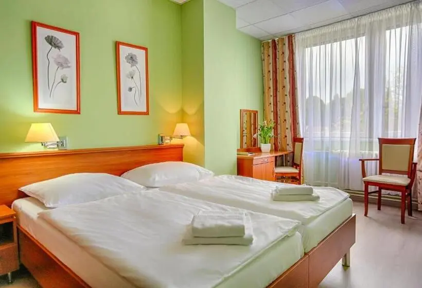 スーペリアシングルルーム, Ensana Spa Smrdáky